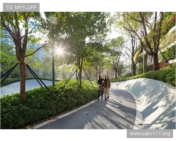 欧博登路入口交通指南，全面解析通行路线与交通状况